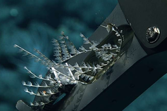 Ocean Genome Legacy Endowed Fund